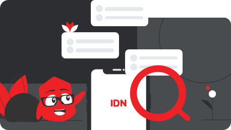 IDN Connect Illustration